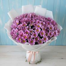 Букет цветов из:  Хризантемы в Галюгаевской