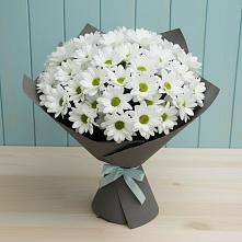 Букет цветов из:  Хризантемы в Галюгаевской