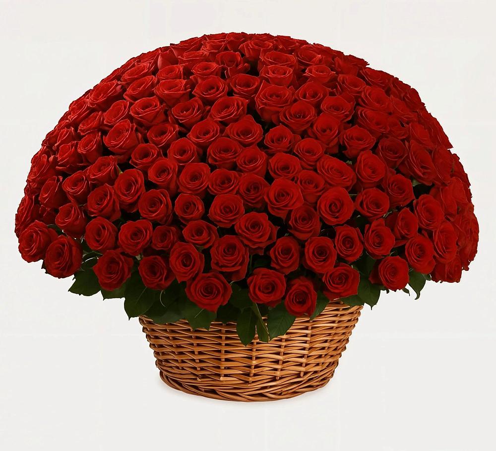 Премиум букет из: Розы в Галюгаевской