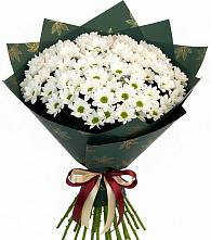 Букет цветов из:  Хризантемы в Галюгаевской