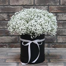Цветочная композиция из Гипсофила в шляпной коробке #REPLACE_PRED# Галюгаевской